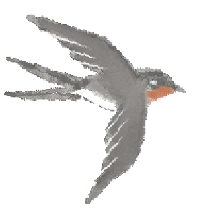 640 (4).png