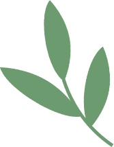640 (3).png