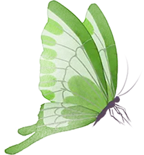640 (2).png