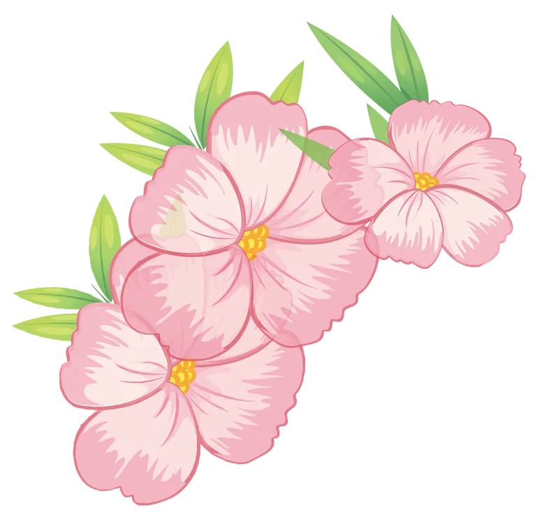 640 (4).png